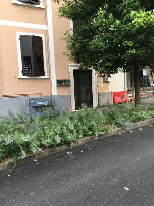 Appartamento I Sentieri 23 Рива-дель-Гарда Екстер'єр фото